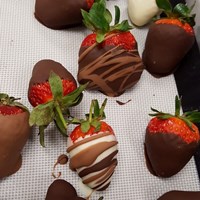 Sarah Snyder's Portfolio